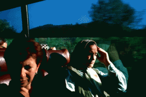 gallerywidows_02-gallerywid copy