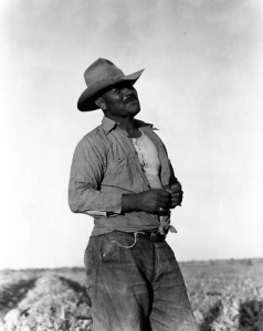 Man in Field, Imperial Valley, 1935